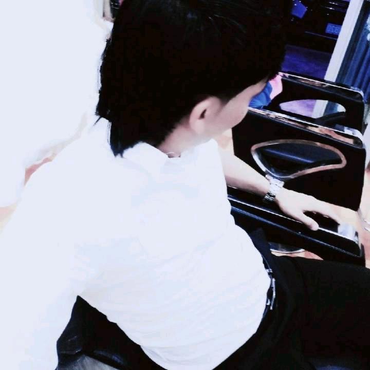 新疆精品无杠灰鸽子