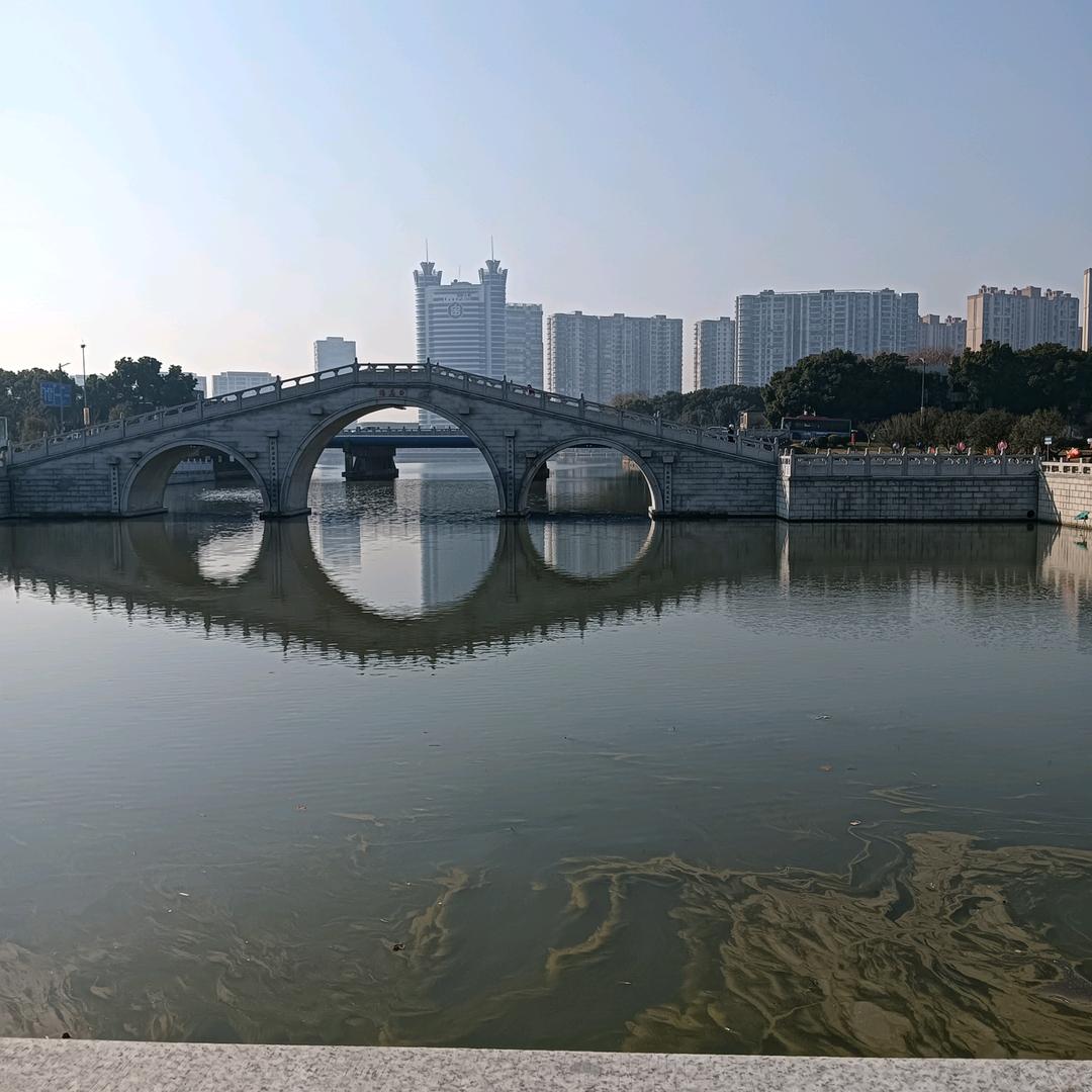 王后余生