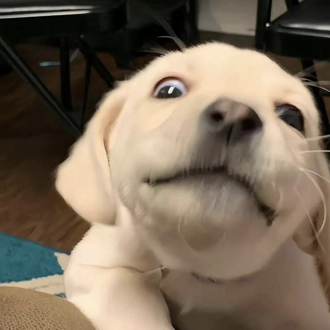 吃不饱