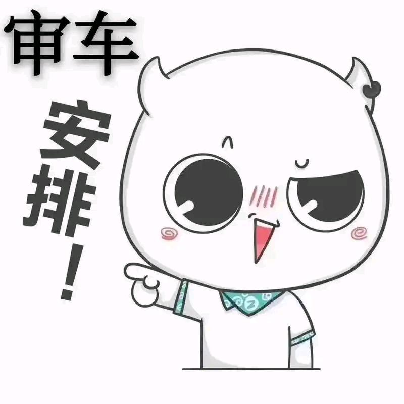 审车小姐姐
