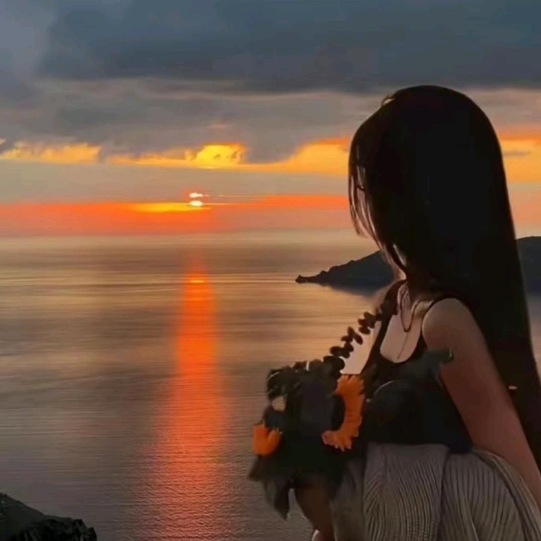 微云网络（洛阳雯雯）