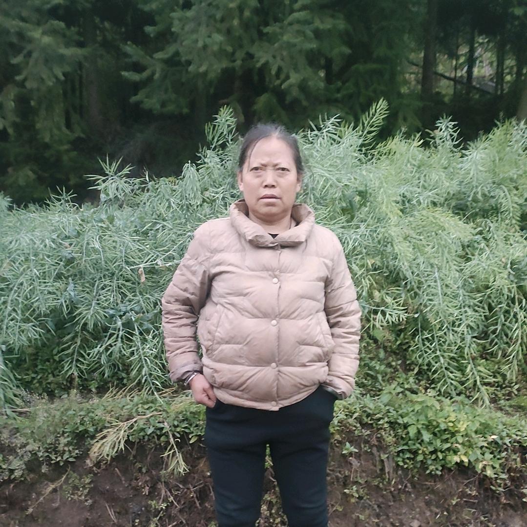 余大姐