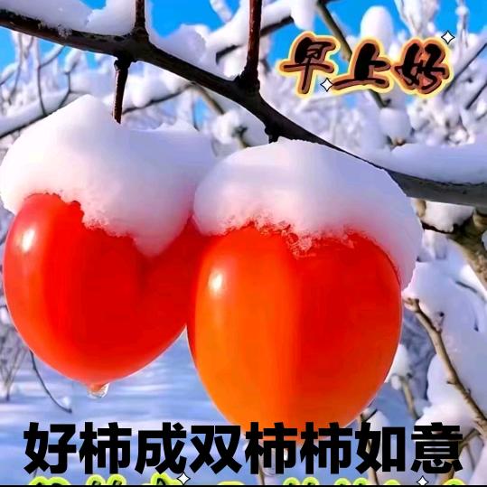 妞妞，愿人间没有病魔