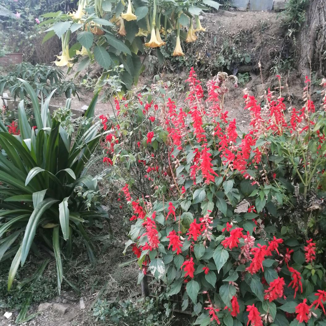 勇闯天涯，