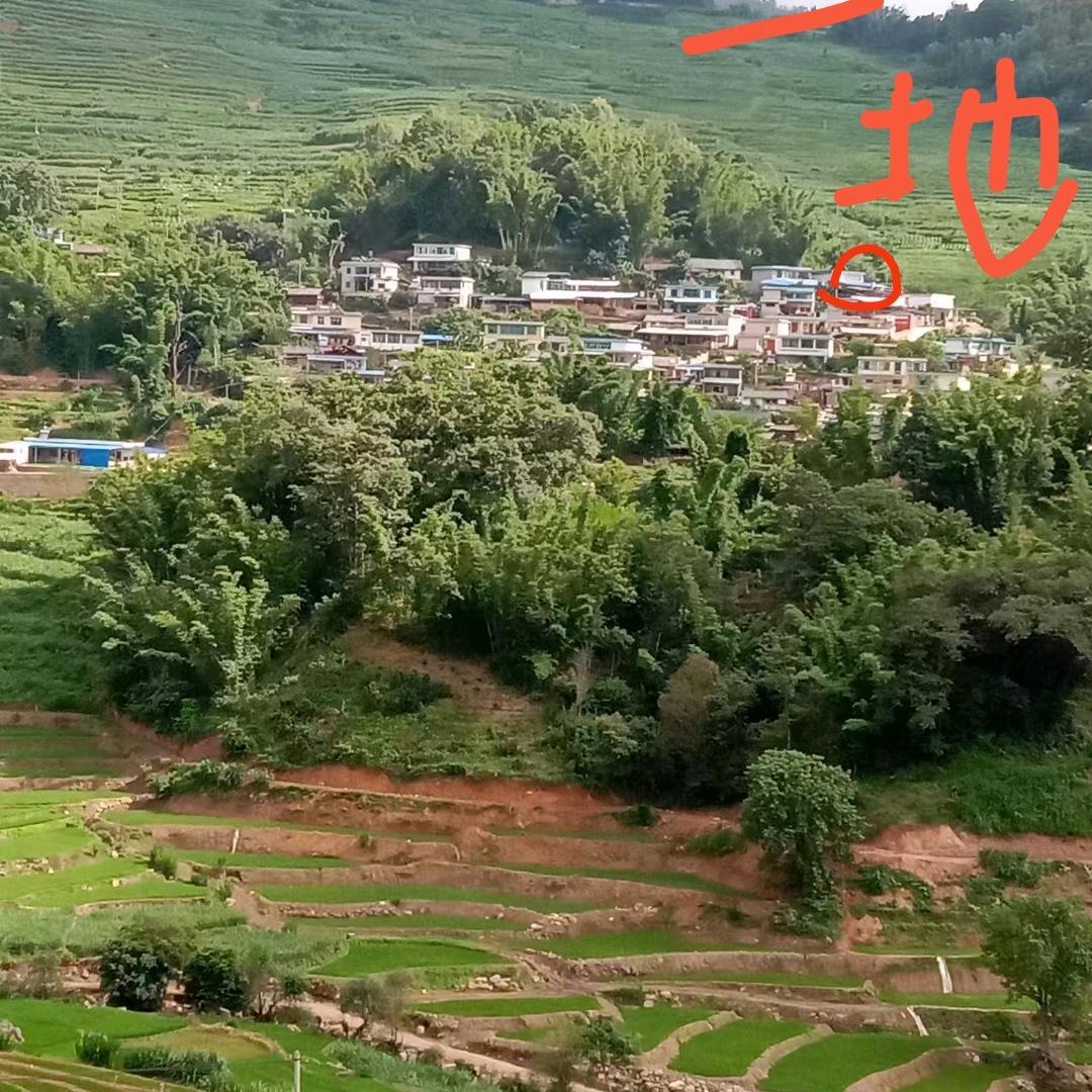 半世流离，一世癫