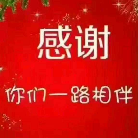 精品标砖.多孔砖