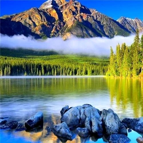 一条大河《《《
