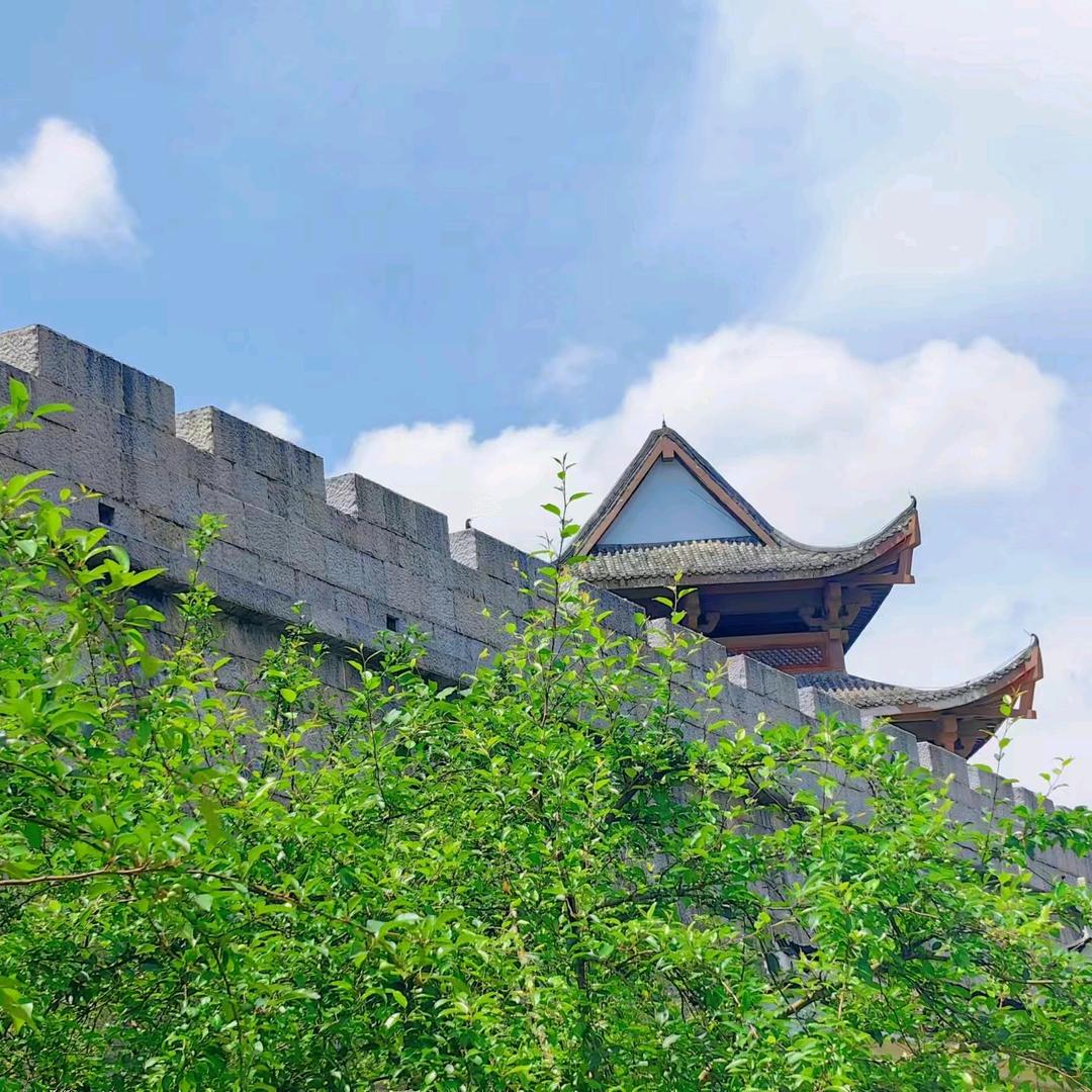 宁宁自用好物分享