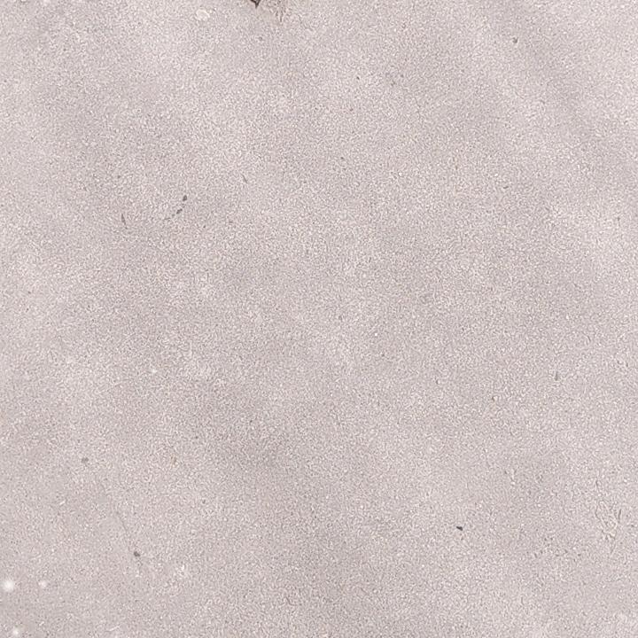 …………………………………