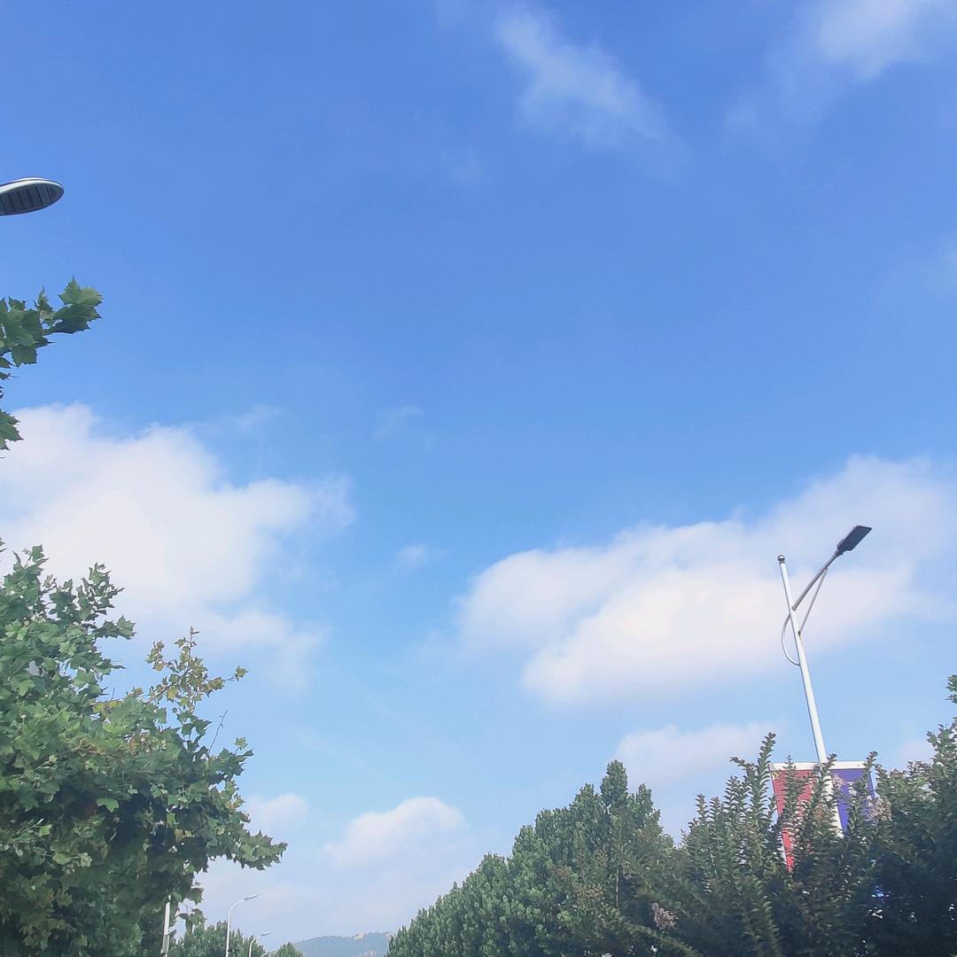 顺心如意_22026