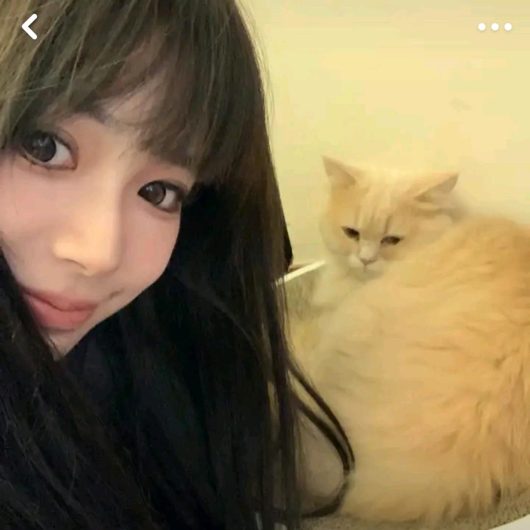 琪琪科爱潮玩