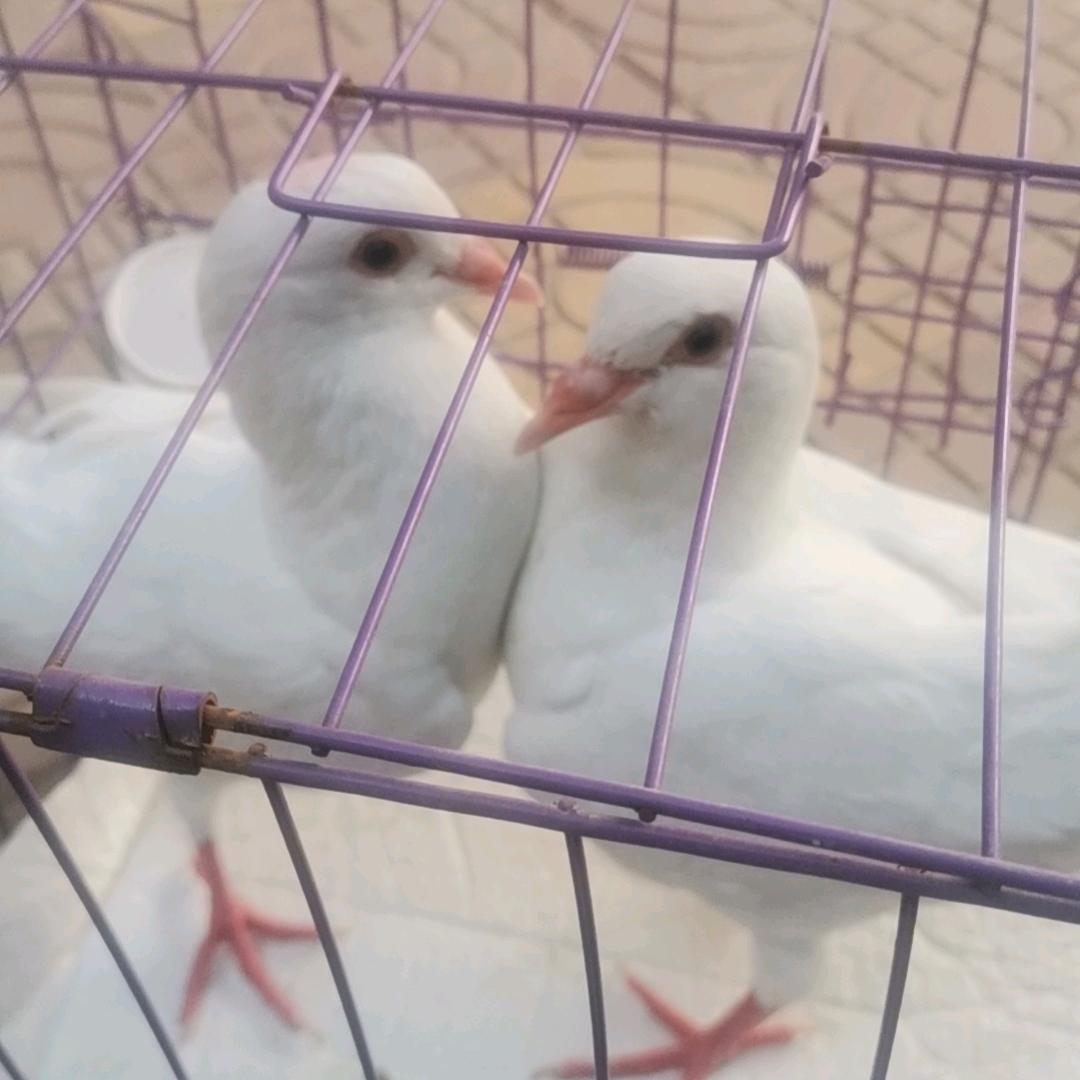 瓶中沙