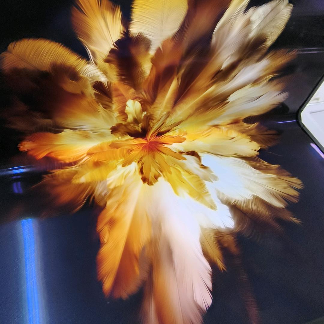 只是来玩玩而已