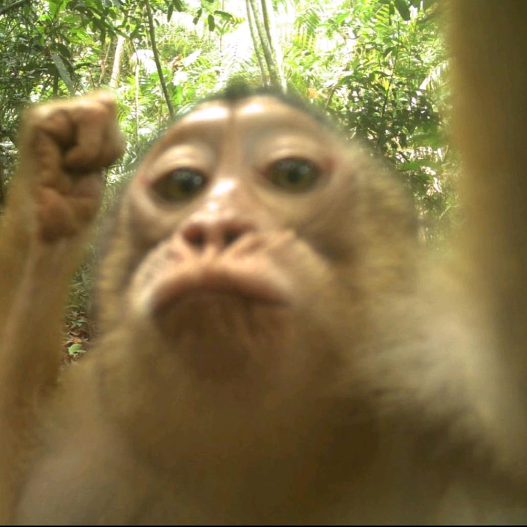 小小人儿
