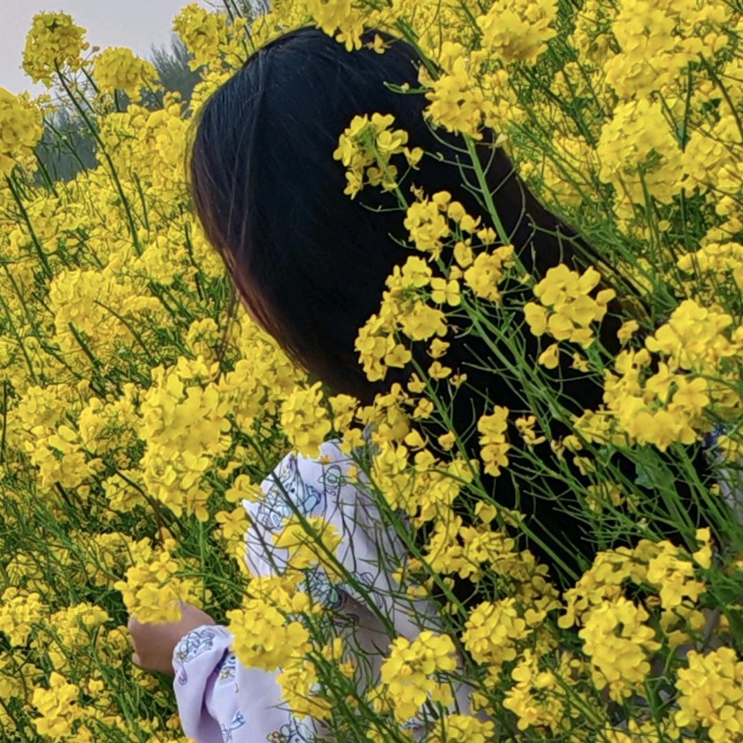 .葵Y颜^🍼（不火停更）