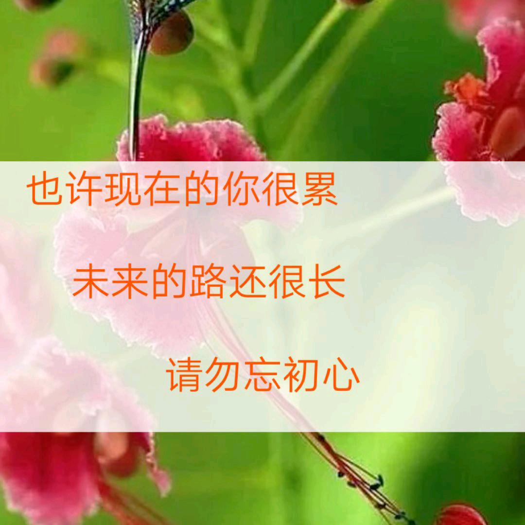 默默守护