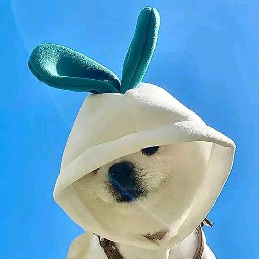 叮当生活日记