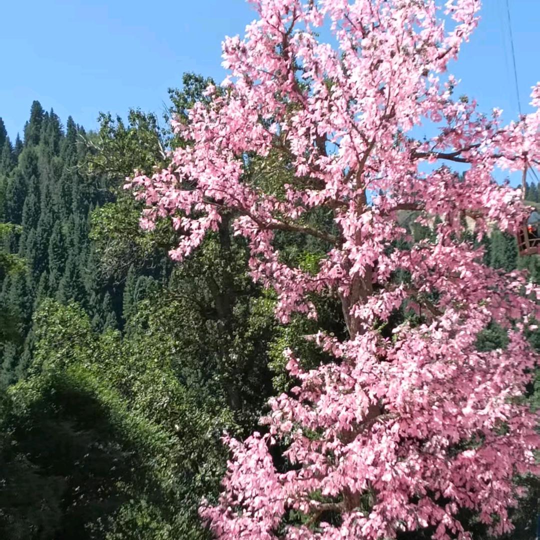 罗林好物精选小铺