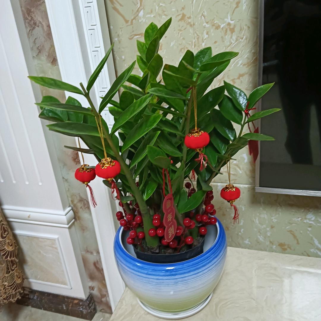 @穗鹃🌹🌹