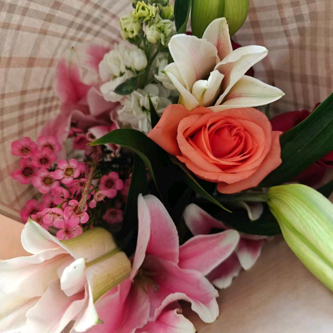 优乐仁桦源头工厂