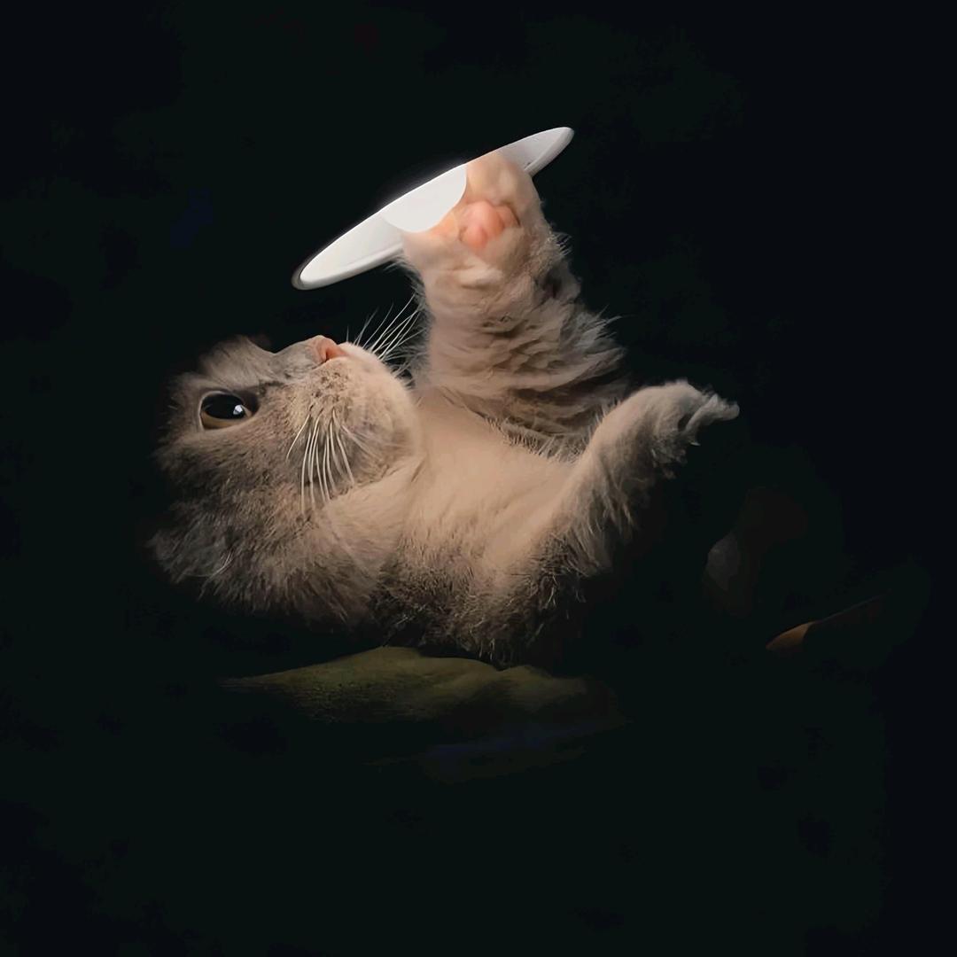 迟遇