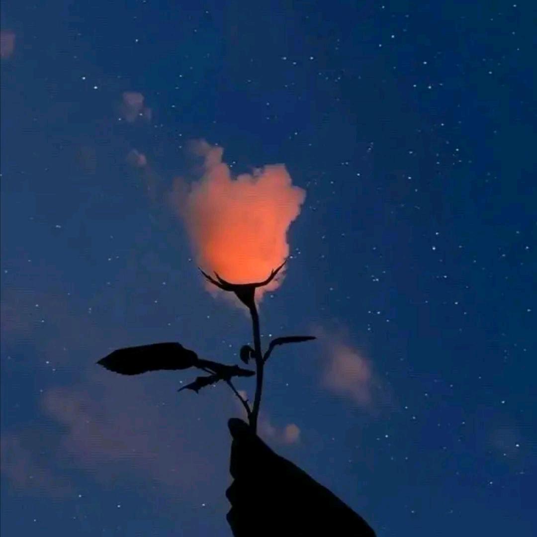 风的无意