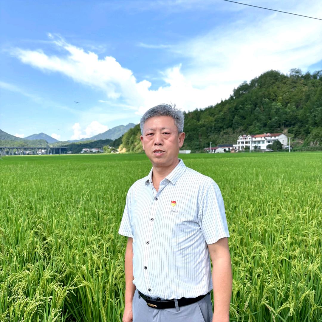 乡村白头书记