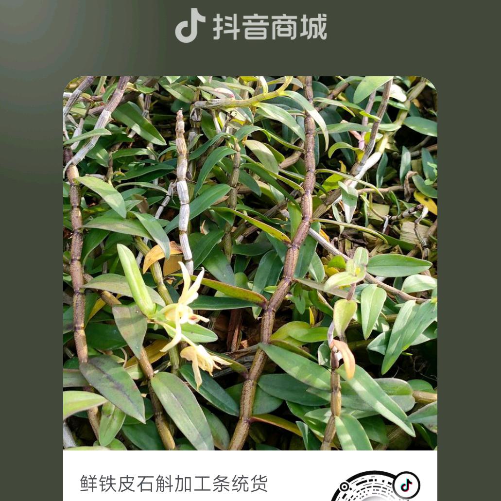 未来不是梦