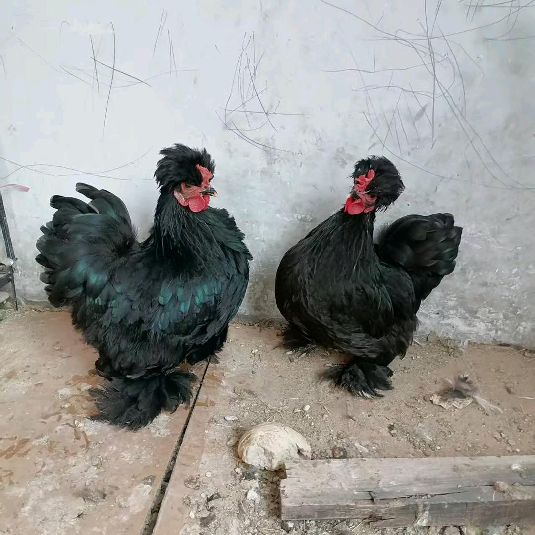 ☞你来与不来，依旧等着你☜