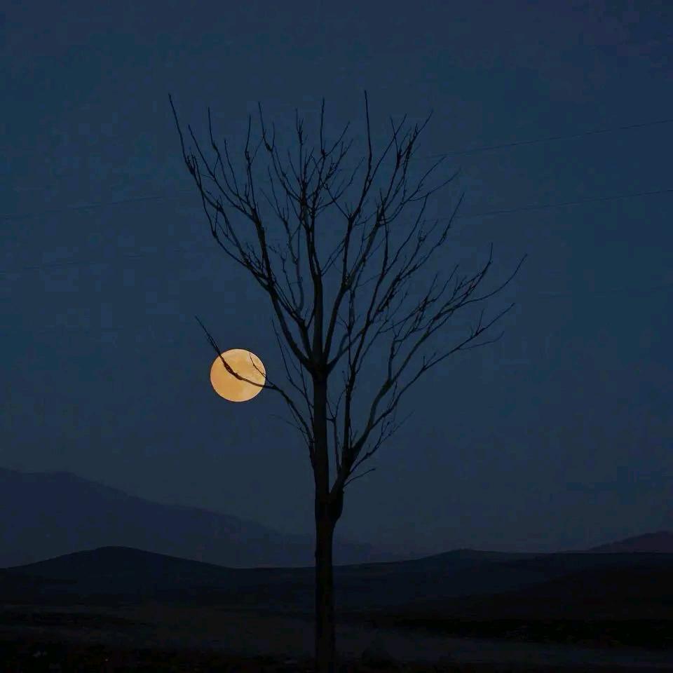 梦的天使