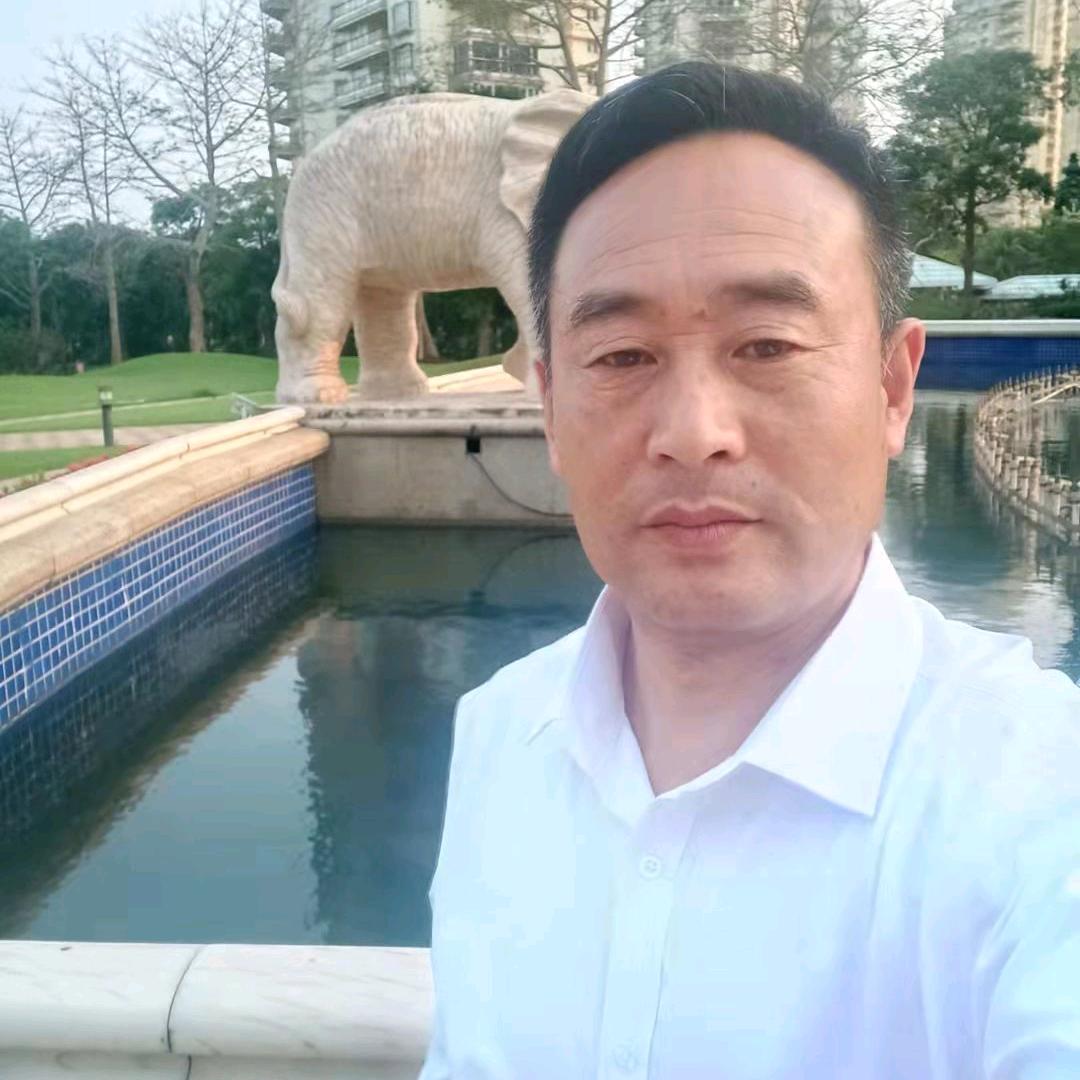 拼搏三强