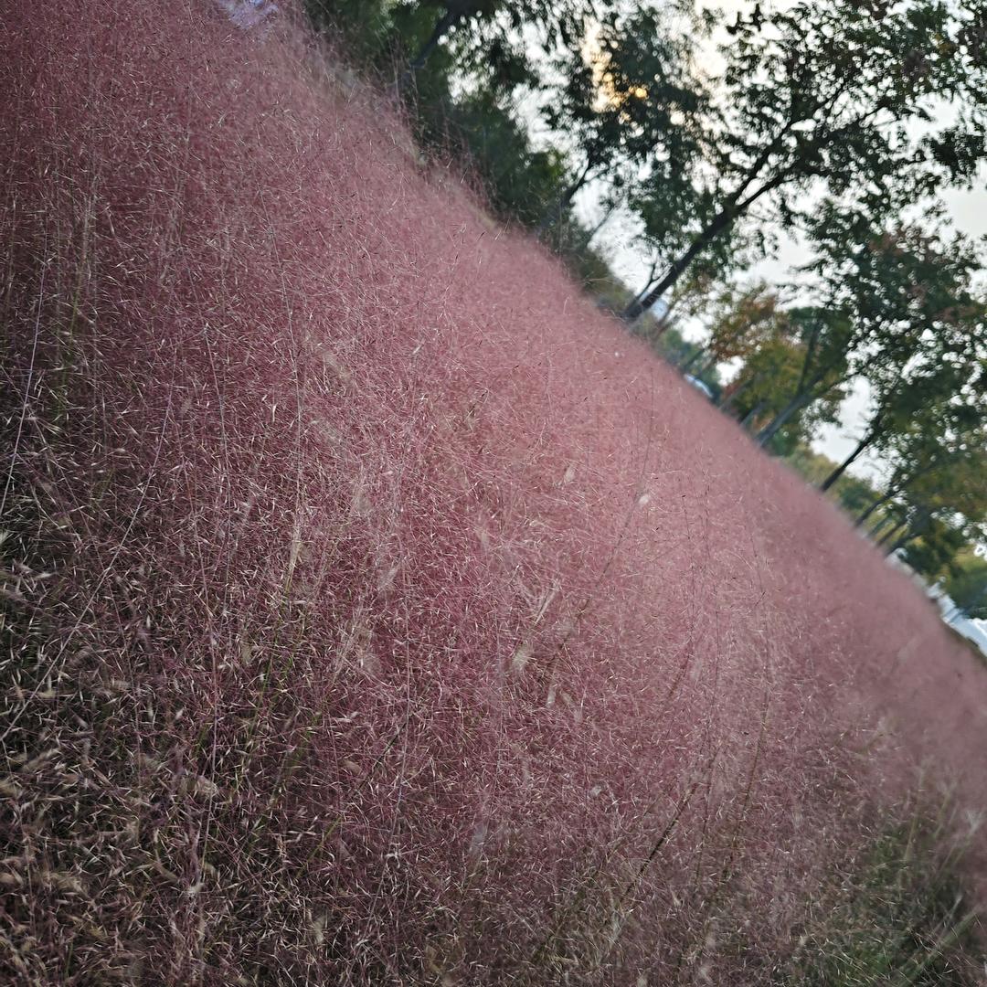 没人知道我的名字