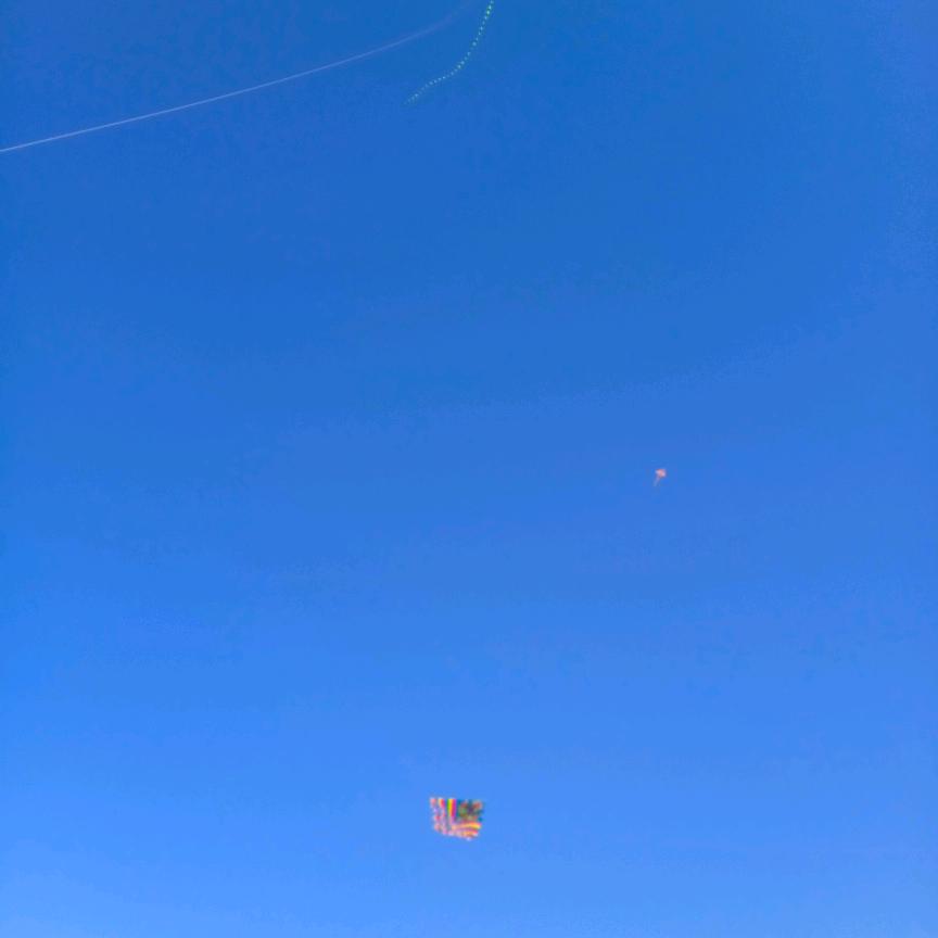 清新