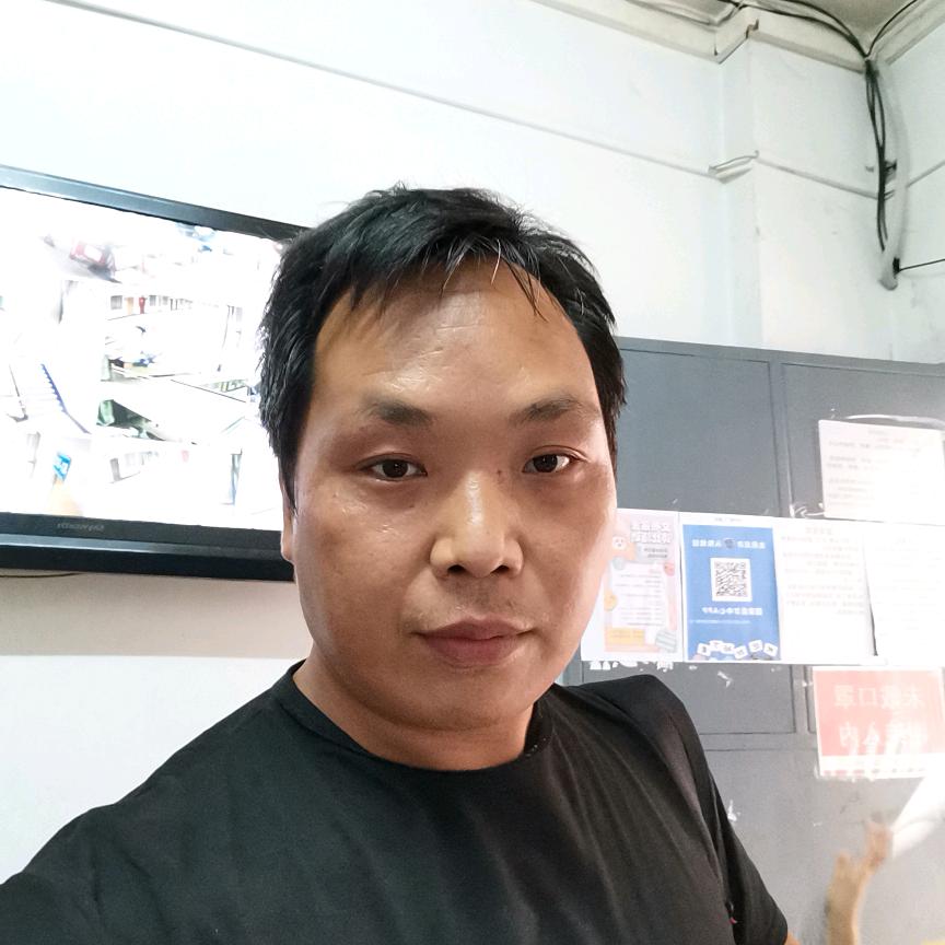 电影，音乐，旅行