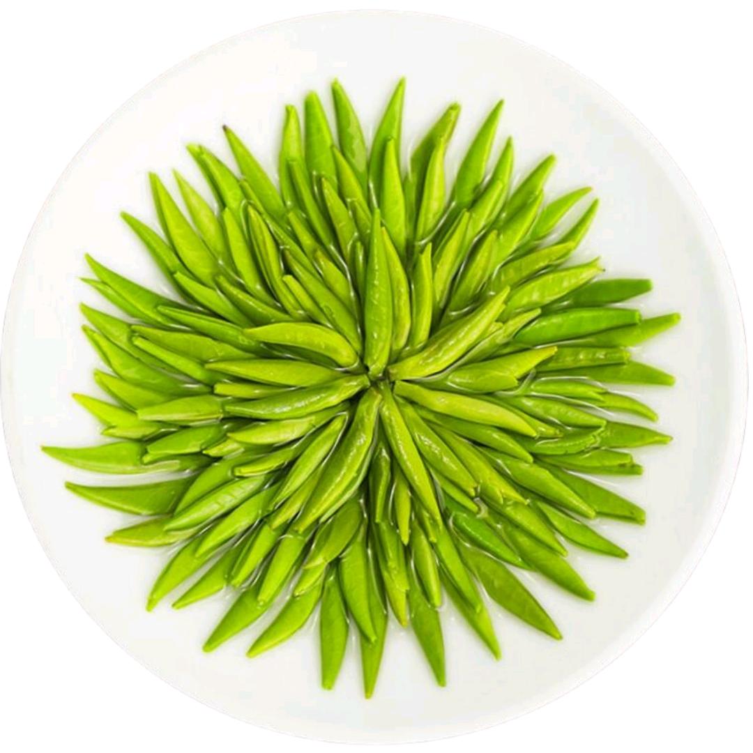 永绿茶庄官方号