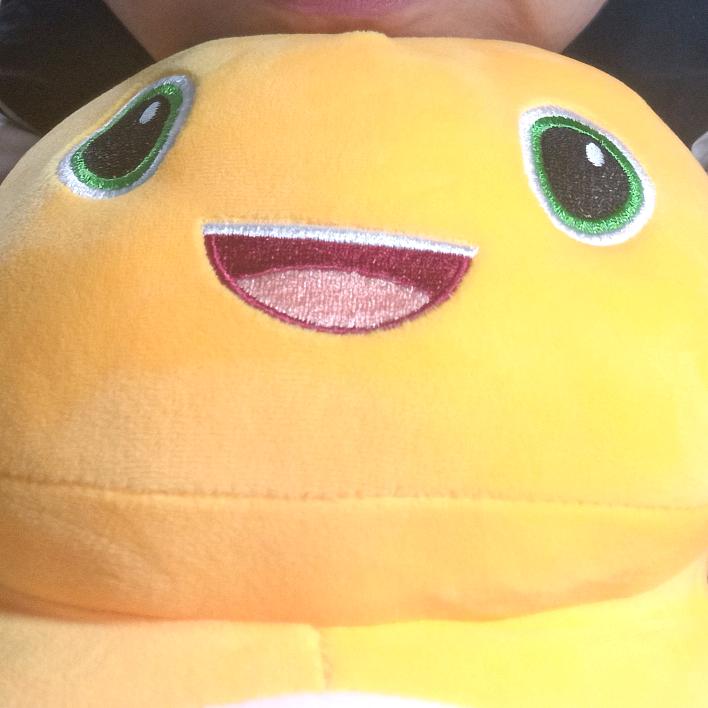 神都旌旗