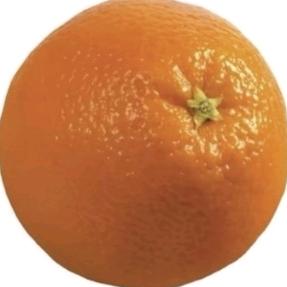 🌈18岁美艳少妇🍊