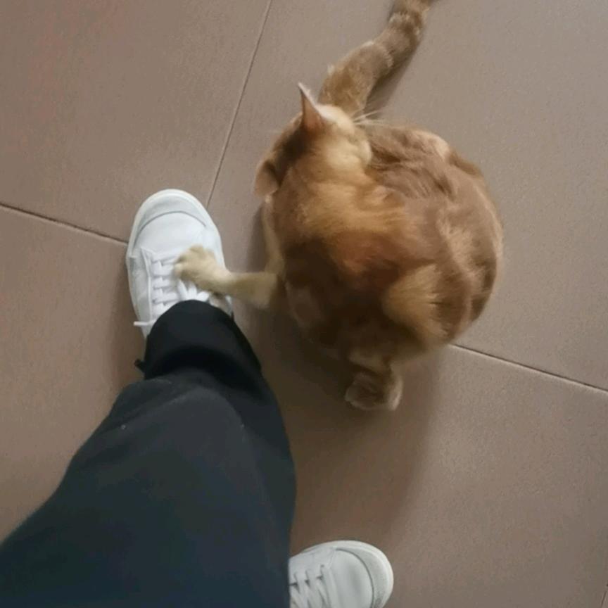 清炜百货商行