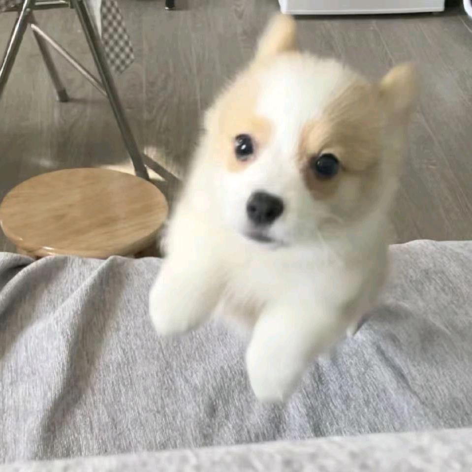 听晚