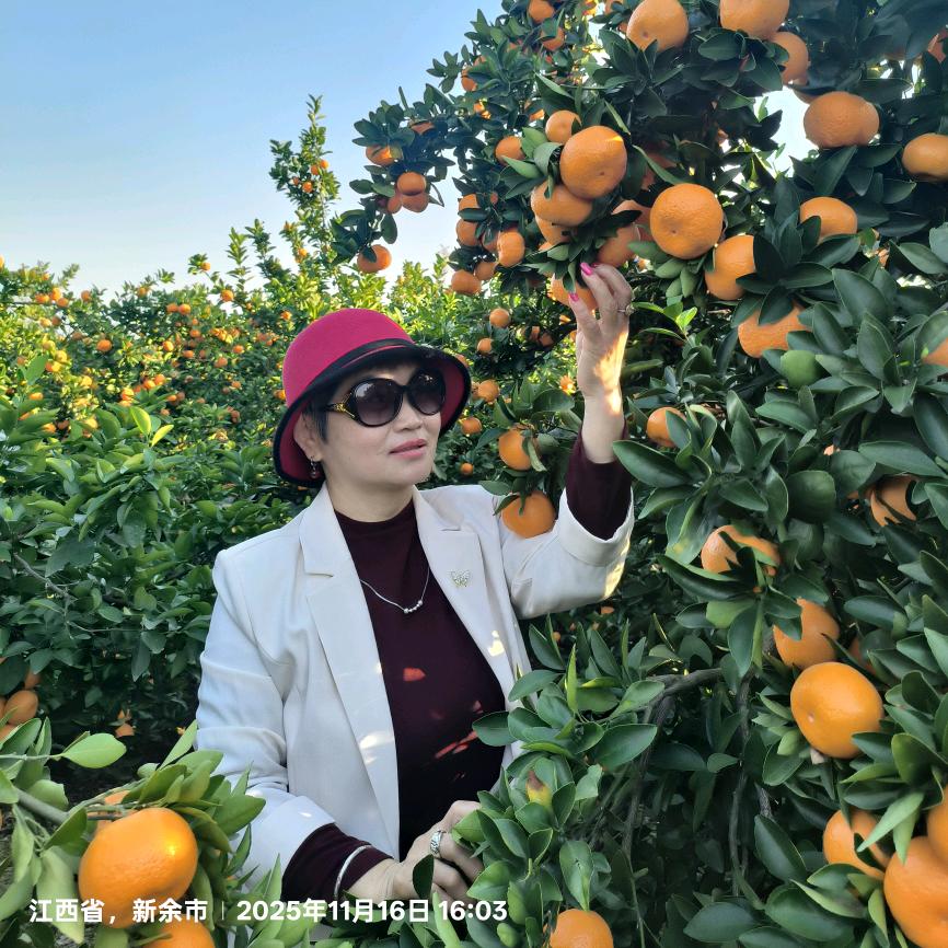 新余房产置业顾问~邹姐