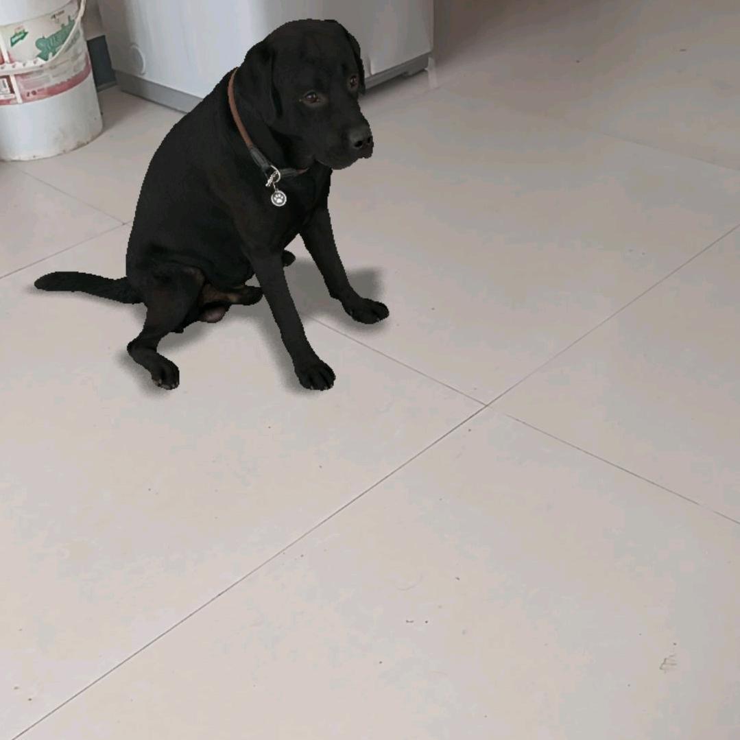 当你老了，锤你。