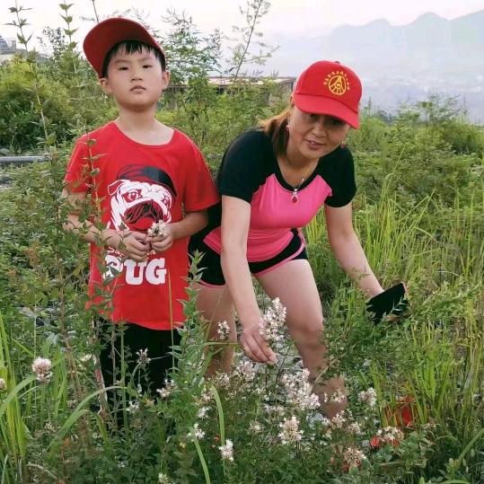 做个坚强的女人