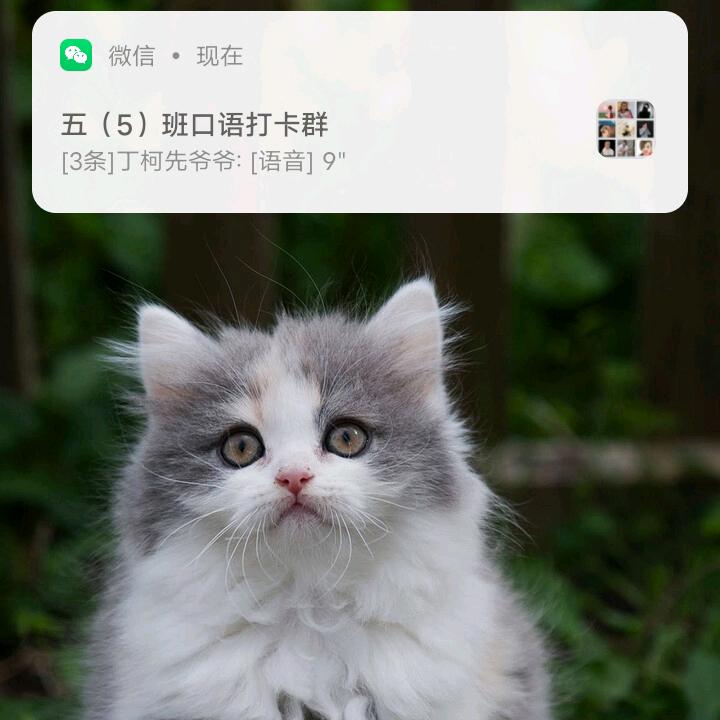 单身哥