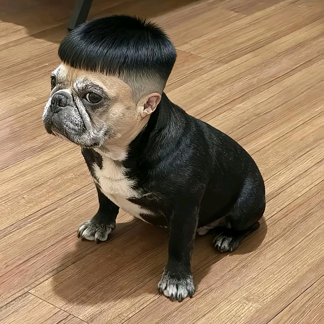 ღℳค馬ོꦿ࿐