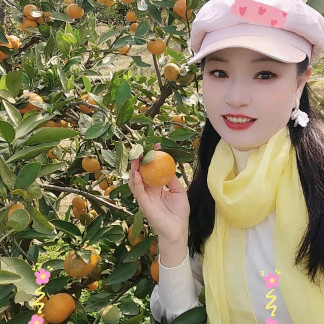 千娇玫瑰