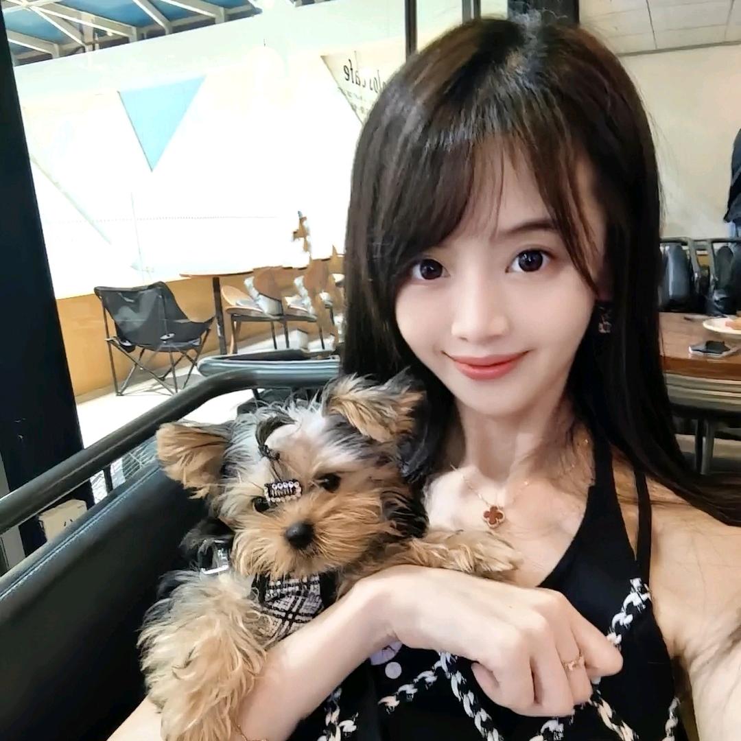 🦢晓晓雪🦢