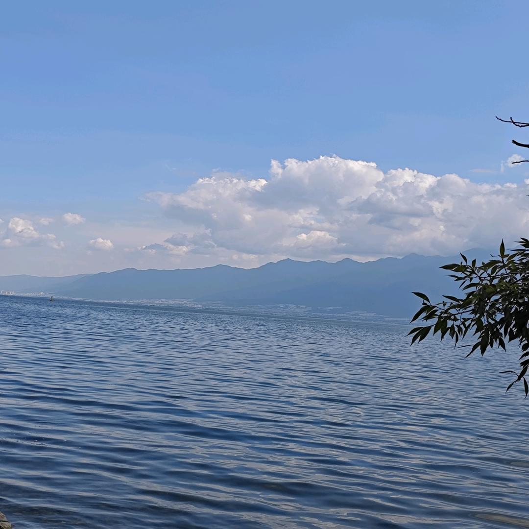 .金芙蓉，请别（连赞）