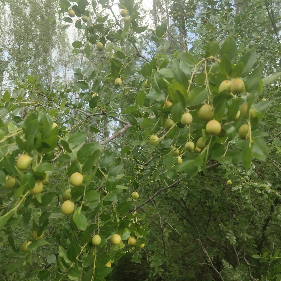 雷霆手段，菩萨心肠