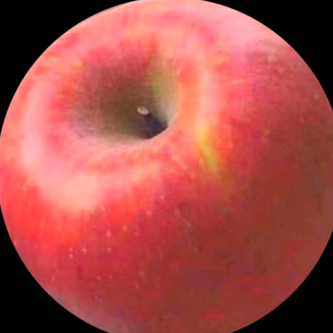 腿腿