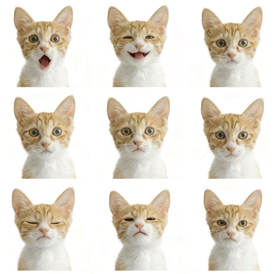 好事要来到(减肥ing)